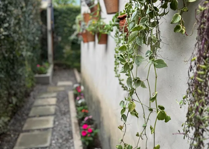 Flat Das Flores