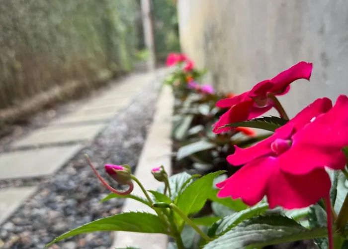 Flat Das Flores