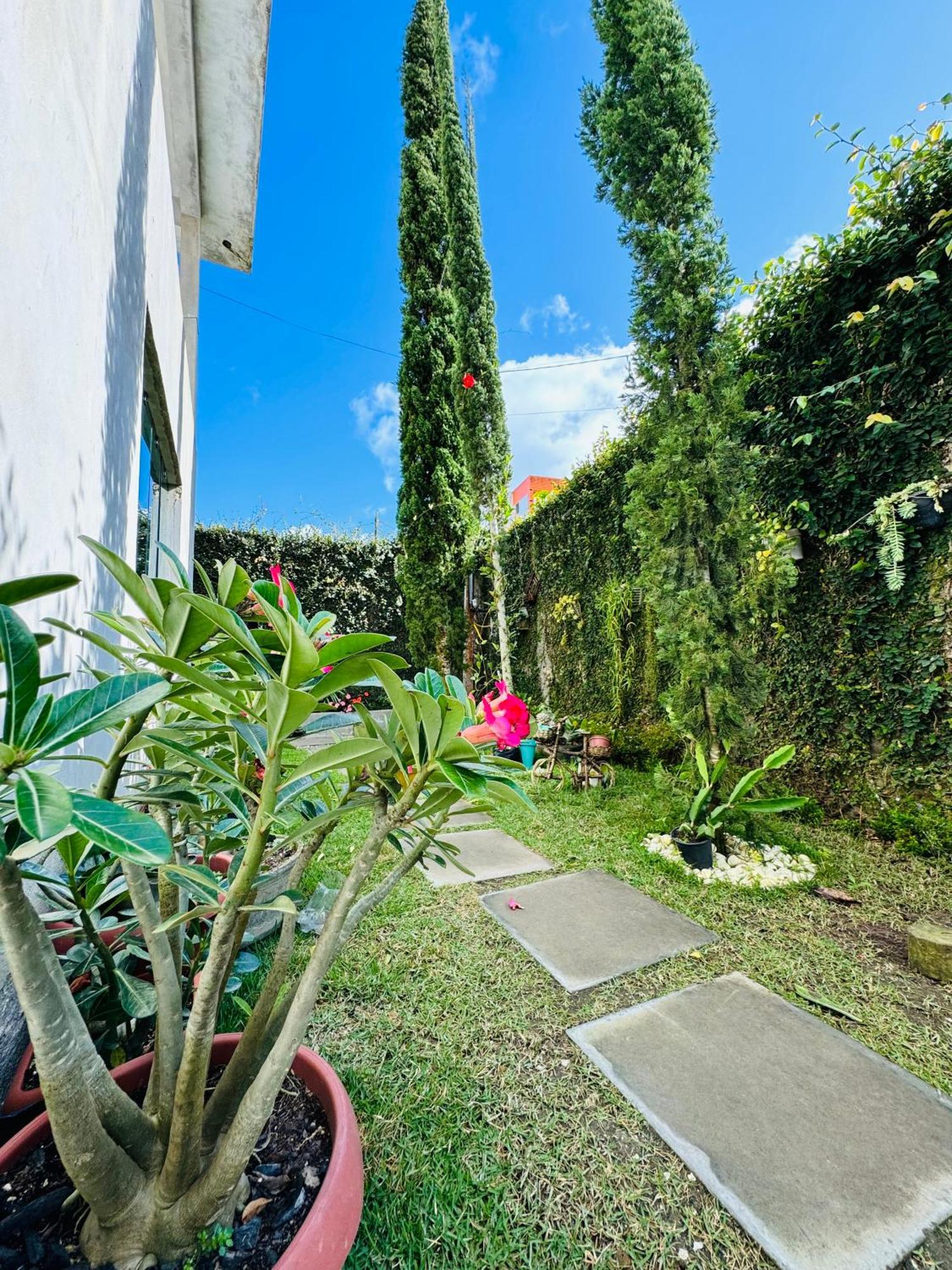 Apartment Flat Flores
