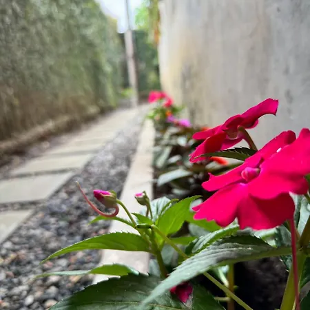 Flat Das Flores Garanhuns Exterior photo