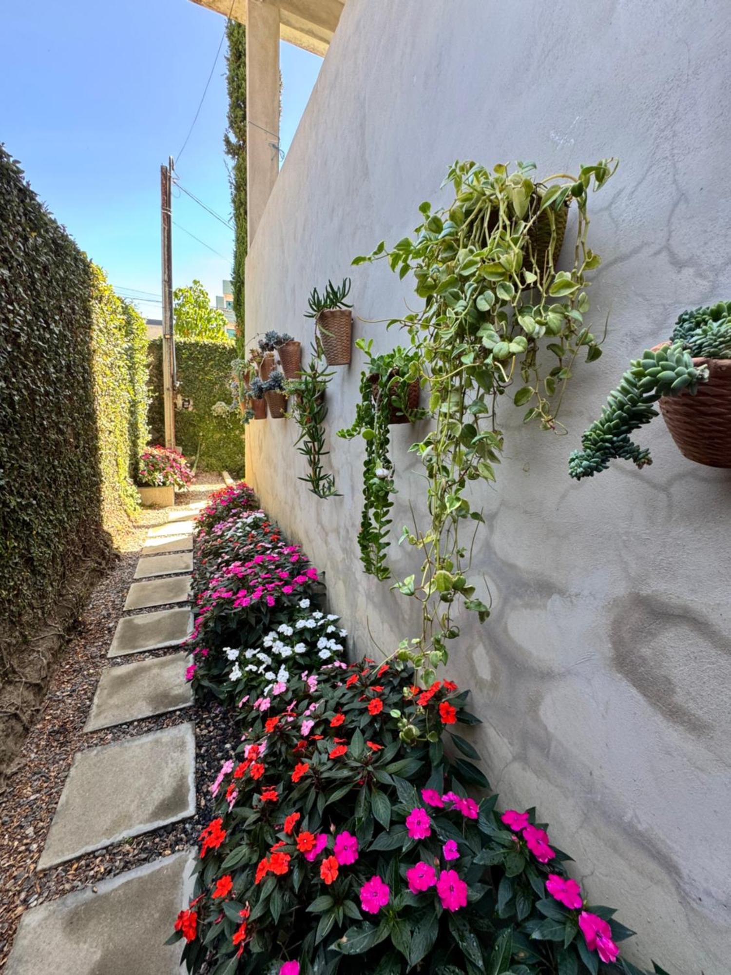 Flat Flores
